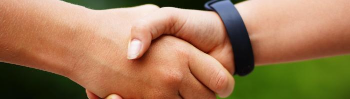 Twee mensen schudden elkaar de hand