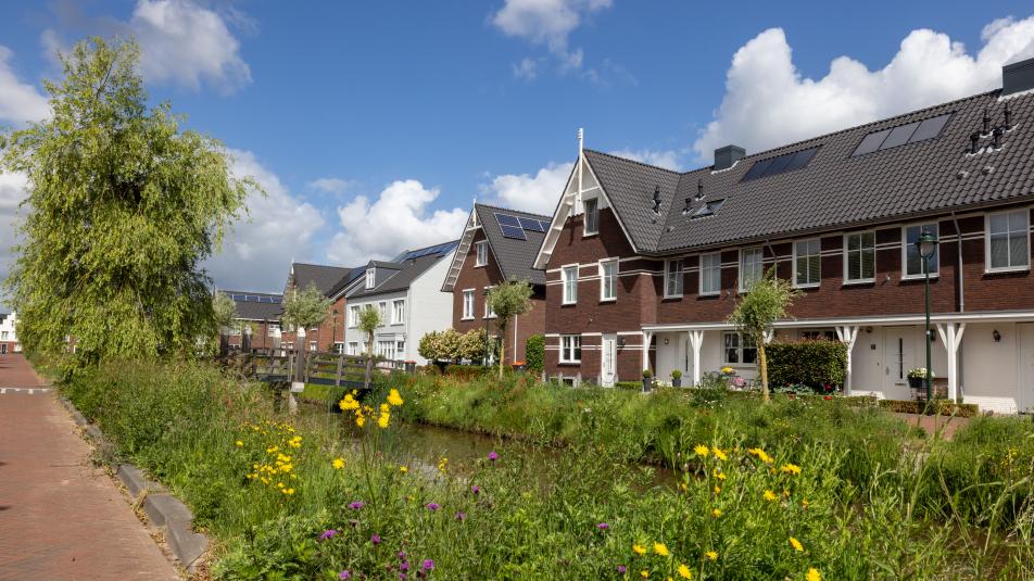 Rijtje grondgebonden woningen
